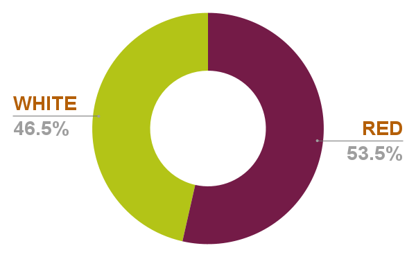 Chart 24 